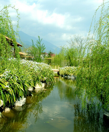 ������ѧУ԰���